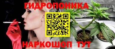 эйфоретик Комсомольск-на-Амуре