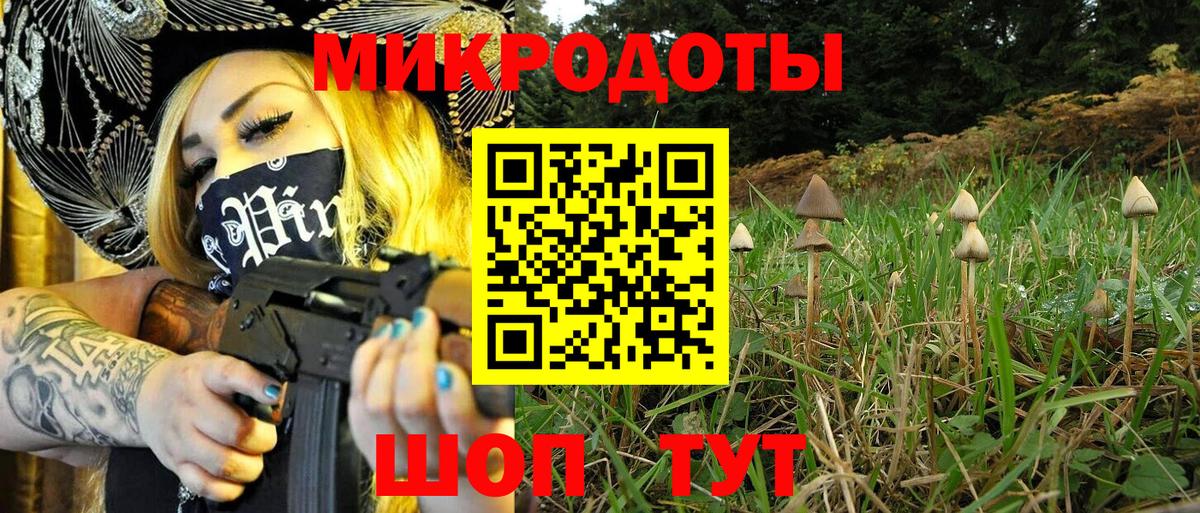 Галлюциногенные грибы прущие грибы  Псилоцибиновые грибы Cubensis  Каменск-Шахтинский  Вход с VPN 